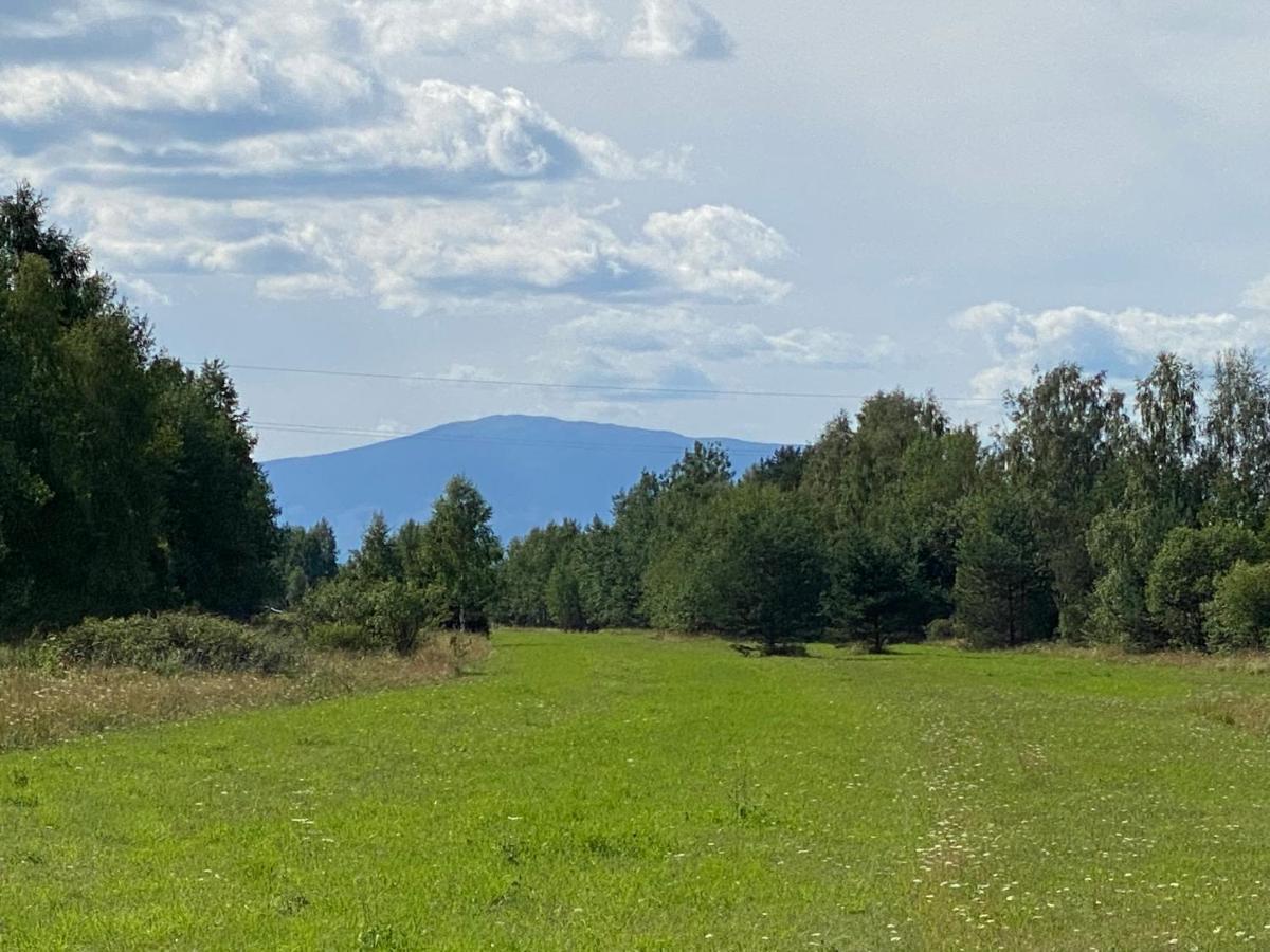 Goralskie Domki U Topora Czarny Dunajec Bagian luar foto