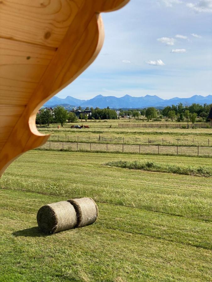 Goralskie Domki U Topora Czarny Dunajec Bagian luar foto
